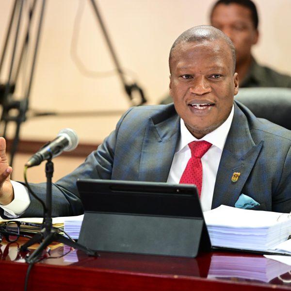 MEC RACHUENE TO PRIORITISE JOB CREATION